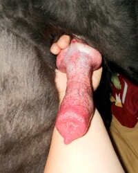 photo-thumb