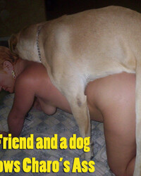 album-cover