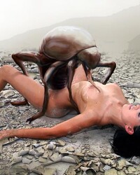 album-cover