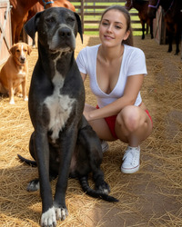 album-cover