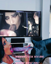 album-cover