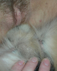 photo-thumb