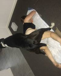 album-cover