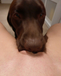 photo-thumb