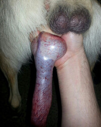 photo-thumb