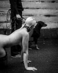 album-cover