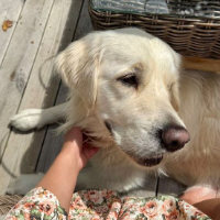 Elizabeth2468 Avatar