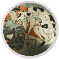 MarcinMazowieckie Avatar