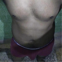 shim Avatar