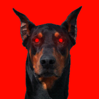 Noroskall19935's Avatar