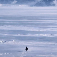 Pamonhadoce062 Avatar