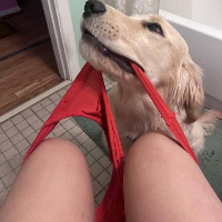 sophiegrace Avatar
