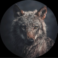 mahir1000 Avatar