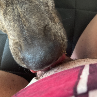 cuddlemehard Avatar