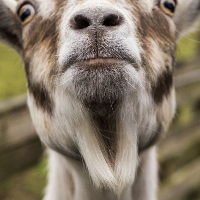 cashdrugsandyou Avatar