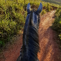 tarcisio Avatar