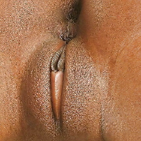 zbol1369 Avatar