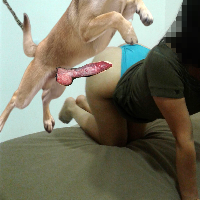 wishzoo的化身