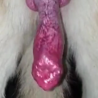 faterthan Avatar