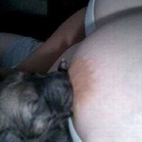 breastfeedingpuppy5813 Avatar