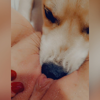 k9lovingbabe Avatar