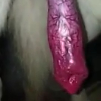 praveensingh的化身