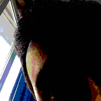 badgeroo Avatar