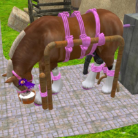 Gaydraftstudsteel的化身