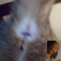 puppycock Avatar