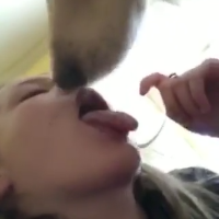 topettos的化身