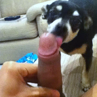 bbpuppy Avatar