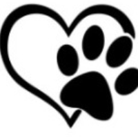 h56sp Avatar