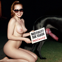 petcandy的化身