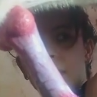 katyahorse Avatar