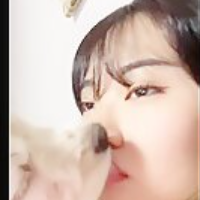 shankset的化身