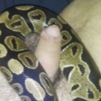 hornyxhusband91 Avatar