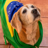 irmaosp's Avatar