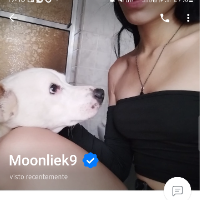 moonlk9的化身