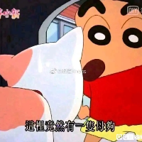 金闪闪嘉嘉的化身