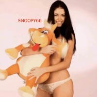 snoopy66的化身