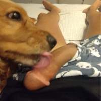 nick1s的化身