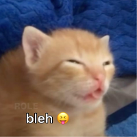 gato的化身