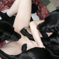 Bitchyqueen10 Avatar