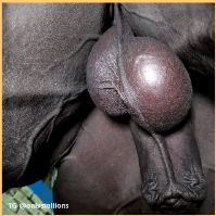 awarewolf69 Avatar