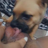 lilslt的化身
