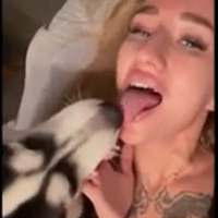 v4mpslvt88 Avatar