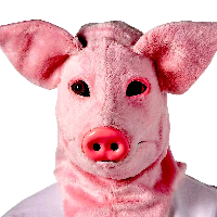 zizette Avatar
