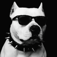 kingdog_ Avatar