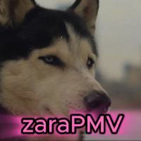 Zara_PMV Avatar