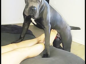 Veronica silesto footjob (check my profile) - BestialitySexTaboo -  Bestiality Sex Taboo